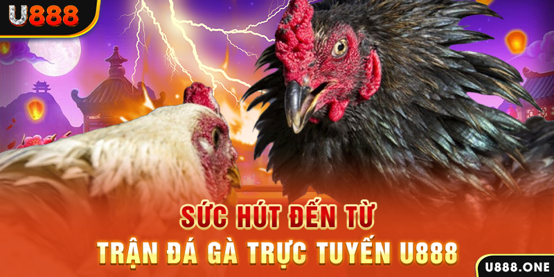 95win đá gà trực tiếp c1