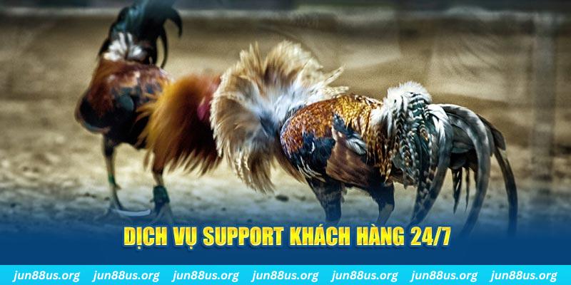 95win ÁT CHỦ BÀI GIÀNH LẤY ZHUANG NIUNIU ( XEM 4 LÁ )