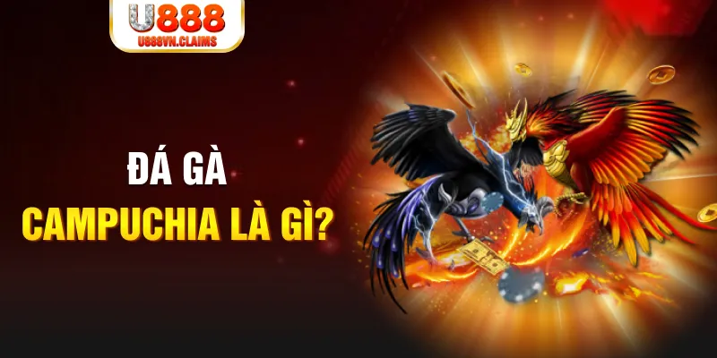 95win bắn cá vàng h5