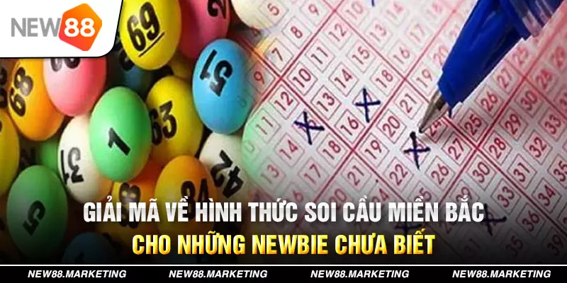 95win xổ số tây ninh