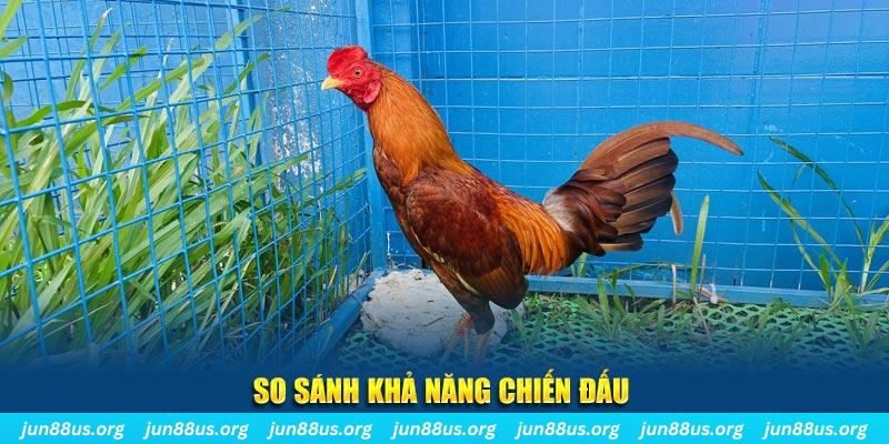 95win CQ9 Điện Tử