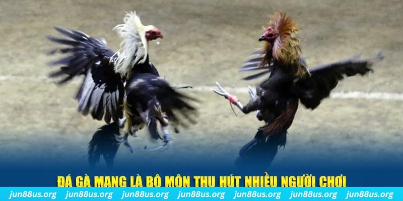 95win bắn cá au88