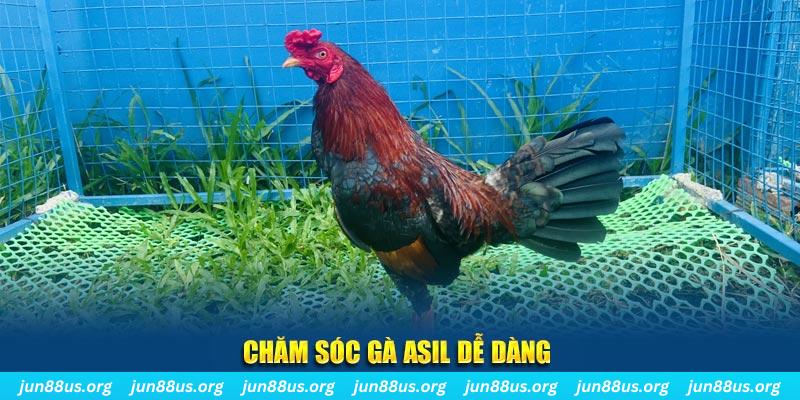 95win game bài là gì