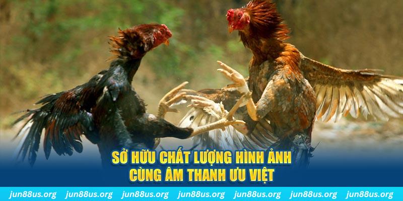 95win PP Điện Tử