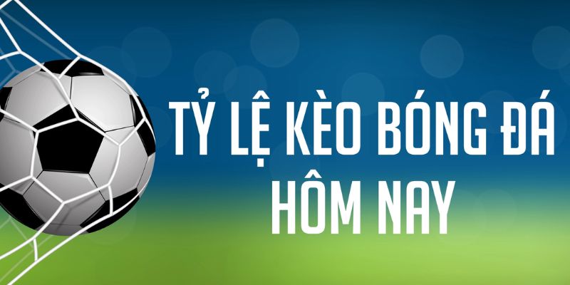 95win gà chọi c1 mới nhất