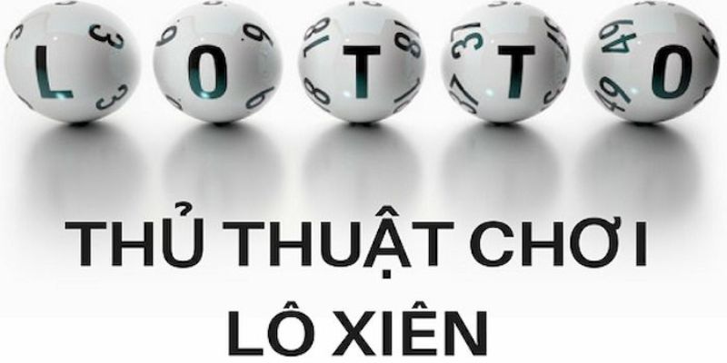 95win trực tiếp đá gà thomo