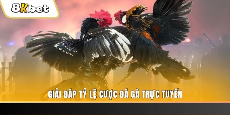 95win xổ số đài miền trung