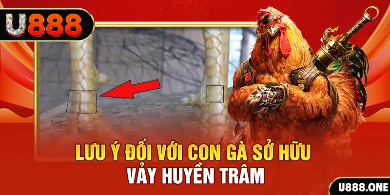 95win kết quả xổ số miền nam hôm nay