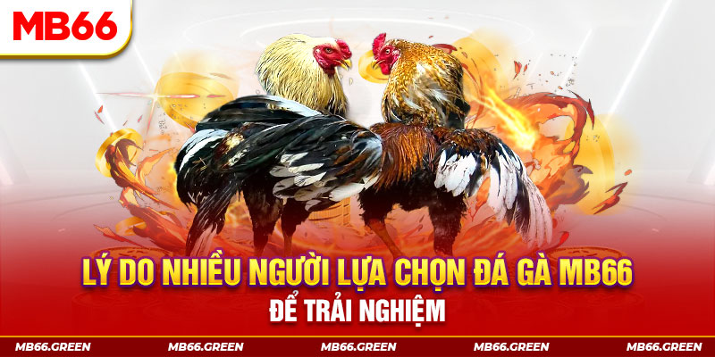 95win xổ số miền bắc thứ bảy hàng tuần