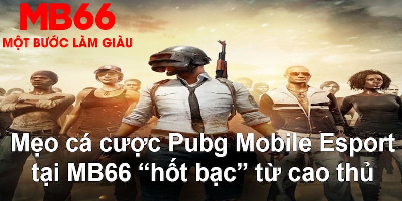 95win VA Bắn cá