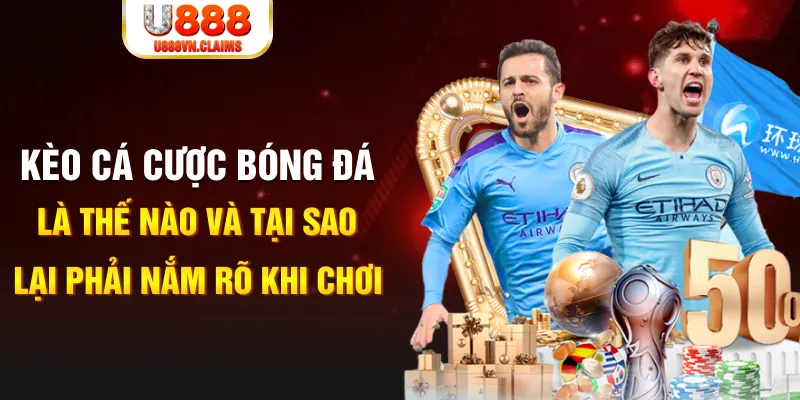 95win xổ số kiến thiết