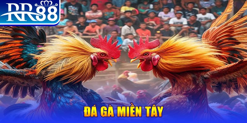 95win no hu doi thuong ai