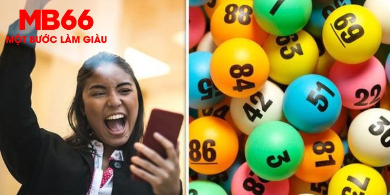 95win Trăm Knorr
