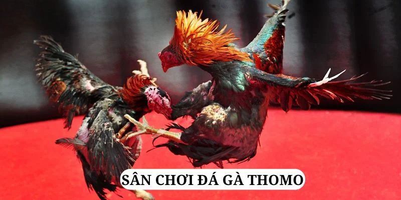 95win trực tiếp xổ số miền bắc