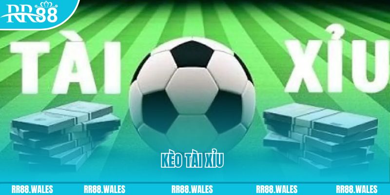 95win casino gồm những gì